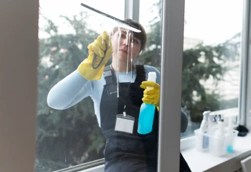 Nettoyage de vitres intérieures et extérieures à Joze